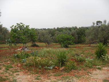 Apartamento de vacaciones en Ribeira de Alte - Paderne (Algarve)Casa de vacaciones
