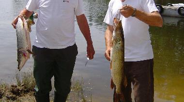 Chalet en Saint-Grons (Cantal)Casa de vacaciones