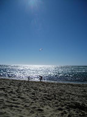 playa alrededores