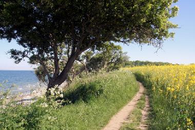 Apartamento de vacaciones en Neujellingsdorf (Insel Fehmarn)Casa de vacaciones