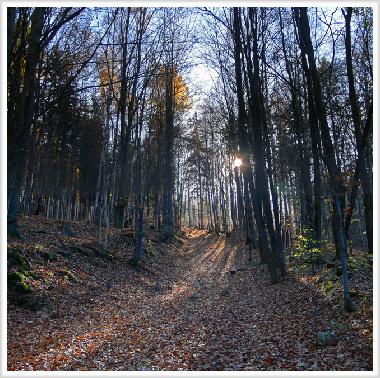 Chalet en Jelenia Gora (Dolnoslaskie)Casa de vacaciones