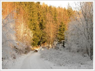 Chalet en Jelenia Gora (Dolnoslaskie)Casa de vacaciones