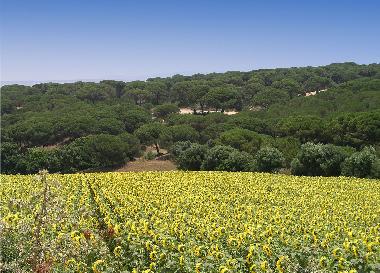 Casa de vacaciones en Chiclana (C�diz)Casa de vacaciones