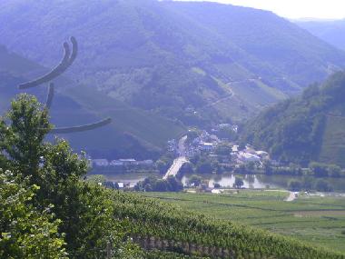 Apartamento de vacaciones en Zell-Mosel (Mosel - Saar)Casa de vacaciones