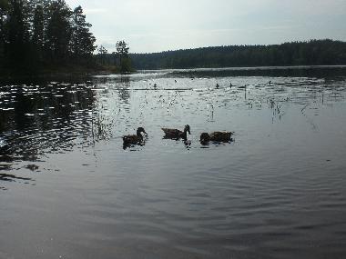 Casa de vacaciones en Kuru (Lansi-Suomen Laani)Casa de vacaciones