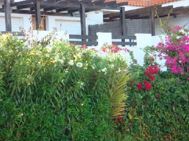 Apartamento de vacaciones en Manilva (M�laga)Casa de vacaciones