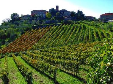 Casa de vacaciones en castelnuovo berardenga Siena (Siena)Casa de vacaciones