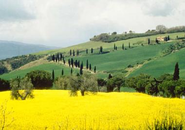 Casa de vacaciones en castelnuovo berardenga Siena (Siena)Casa de vacaciones