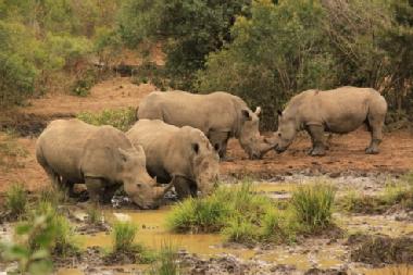Chalet en St Michael's on Sea (KwaZulu-Natal)Casa de vacaciones