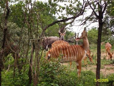 Chalet en St Michael