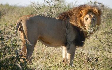 Chalet en St Michael