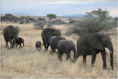 Chalet en St Michael's on Sea (KwaZulu-Natal)Casa de vacaciones