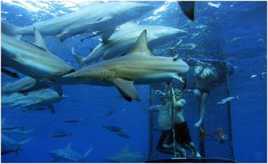 Chalet en St Michael