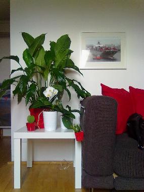 Apartamento de vacaciones en genoa (Genova)Casa de vacaciones