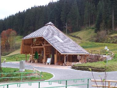 Apartamento de vacaciones en Bad-Rippoldsau (Schwarzwald)Casa de vacaciones