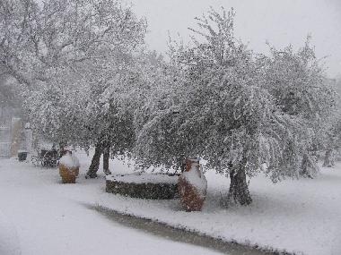 Apartamento de vacaciones en FANO - PESARO URBINO (Pesaro e Urbino)Casa de vacaciones