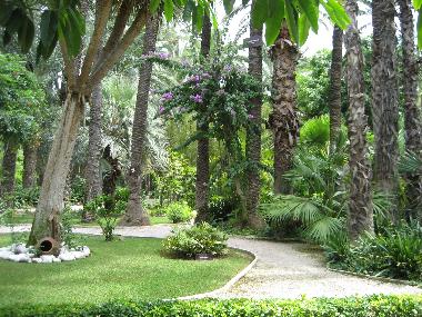 Apartamento de vacaciones en Torrevieja (Alicante / Alacant)Casa de vacaciones