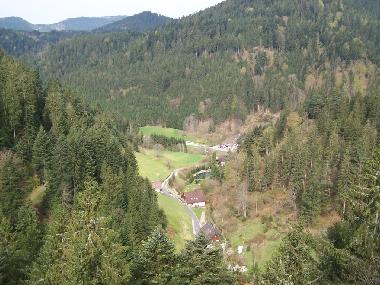 Apartamento de vacaciones en Bad-Rippoldsau (Schwarzwald)Casa de vacaciones