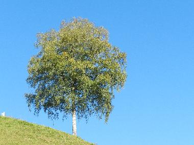 Apartamento de vacaciones en Tschagguns (Bludenz-Bregenzer Wald)Casa de vacaciones