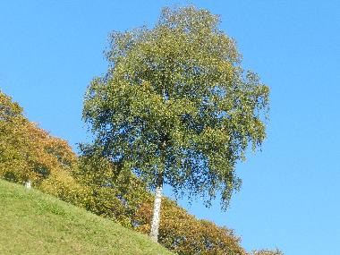 Apartamento de vacaciones en Tschagguns (Bludenz-Bregenzer Wald)Casa de vacaciones