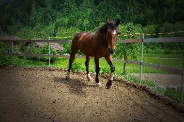 Apartamento de vacaciones en Tschagguns (Bludenz-Bregenzer Wald)Casa de vacaciones