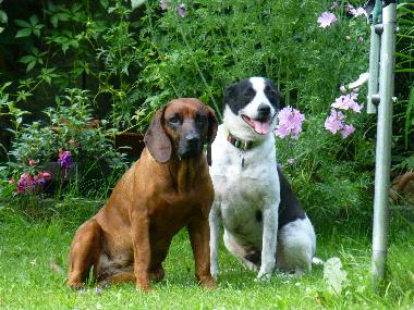 Apartamento de vacaciones en Tschagguns (Bludenz-Bregenzer Wald)Casa de vacaciones