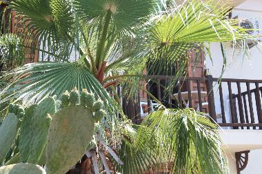 Apartamento de vacaciones en Kas (Antalya)Casa de vacaciones