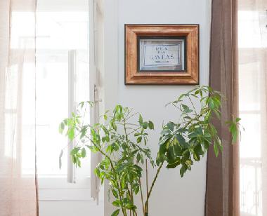 Apartamento de vacaciones en Lisbon (Grande Lisboa)Casa de vacaciones