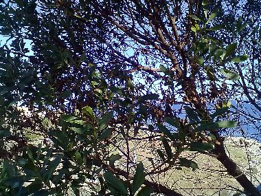 Apartamento de vacaciones en AUGUSTA (Siracusa)Casa de vacaciones