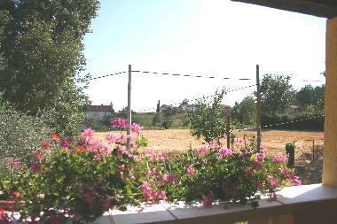 Casa de vacaciones en Zminj (Istarska)Casa de vacaciones