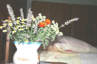 Casa de vacaciones en Zminj (Istarska)Casa de vacaciones