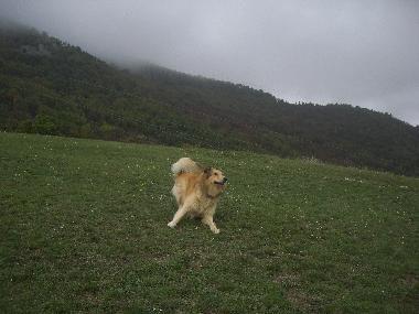 Casa de vacaciones en Fabriano (Ancona)Casa de vacaciones