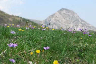 Casa de vacaciones en Fabriano (Ancona)Casa de vacaciones