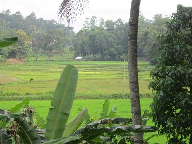 Casa de vacaciones en Kandy-Gelioya (Kandy)Casa de vacaciones