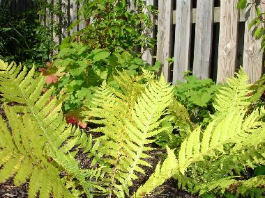 Villa en Hllviken (Skne)Casa de vacaciones