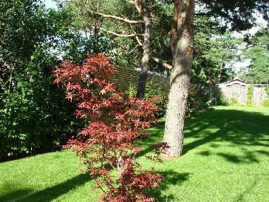 Villa en Hllviken (Skne)Casa de vacaciones