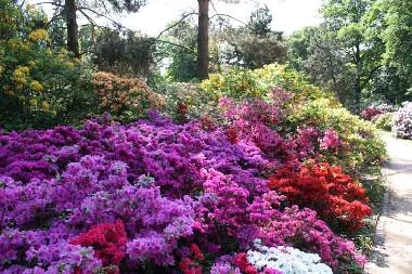 Apartamento de vacaciones en Dresden (Schsische Schweiz)Casa de vacaciones