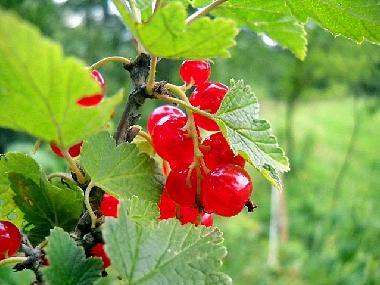 Casa de vacaciones en Lapanow (Malopolskie)Casa de vacaciones