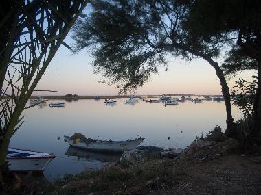 RIA FORMOSA PLAYA