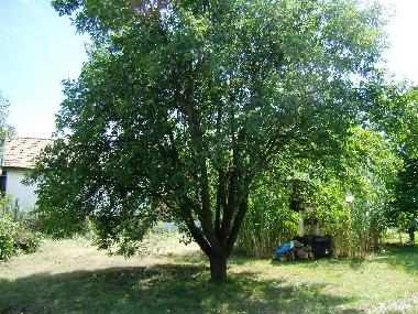 Casa de vacaciones en Siofok - Toreki (Somogy)Casa de vacaciones