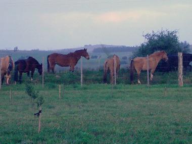 Villa en Punta del Este (Maldonado)Casa de vacaciones