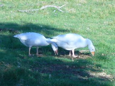 Villa en Punta del Este (Maldonado)Casa de vacaciones