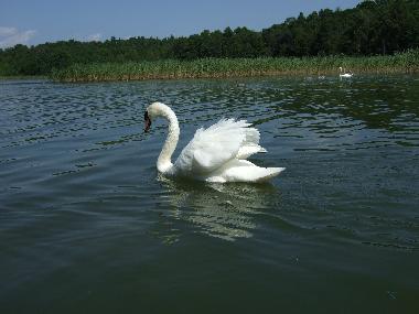 Casa de vacaciones en Krutyn (Warminsko-Mazurskie)Casa de vacaciones