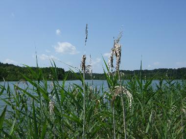 Casa de vacaciones en Krutyn (Warminsko-Mazurskie)Casa de vacaciones