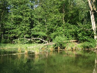 Casa de vacaciones en Krutyn (Warminsko-Mazurskie)Casa de vacaciones