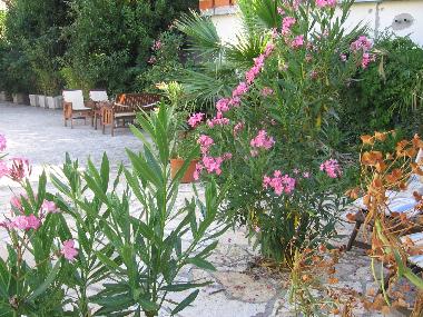 Apartamento de vacaciones en Zadar (Zadarska)Casa de vacaciones