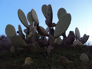 Casa de vacaciones en huercal de almeri�a (Almer�a)Casa de vacaciones