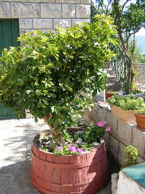 Apartamento de vacaciones en RAČI�ĆE (Dubrovacko-Neretvanska)Casa de vacaciones