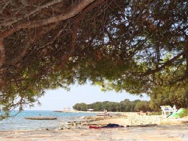 Apartamento de vacaciones en Petrcane/Zadar (Zadarska)Casa de vacaciones