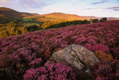 Casa de vacaciones en Blairgowrie (Eastern Scotland)Casa de vacaciones